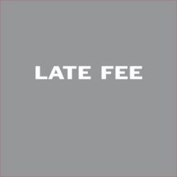 Picture of Late Fee 100